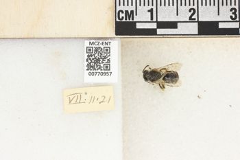 Media type: image;   Entomology 770957 Aspect: Labels
